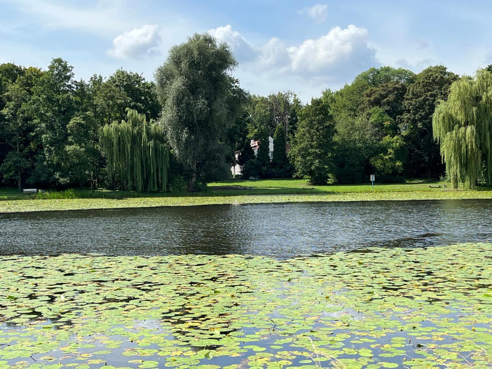 Dedek Park - Historyczny Dworek W Pieknym Parku Skaryszewskim Obok Stadionu Narodowego Warschau Buitenkant foto