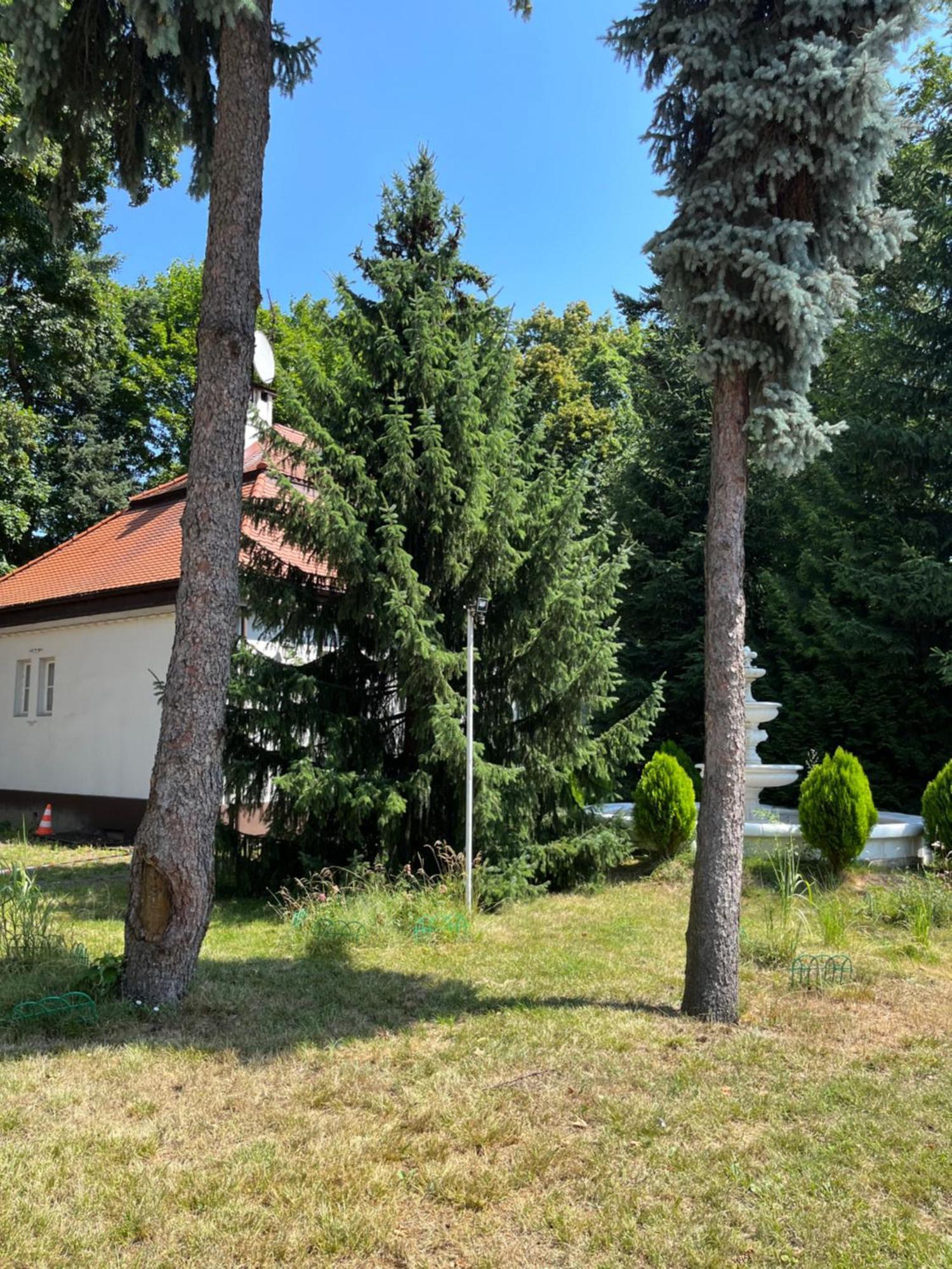 Dedek Park - Historyczny Dworek W Pieknym Parku Skaryszewskim Obok Stadionu Narodowego Warschau Buitenkant foto